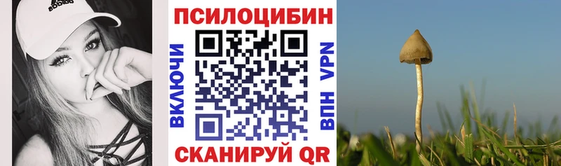 Псилоцибиновые грибы Cubensis Ладушкин
